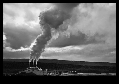 4492098335_d8bf1ebb3a_z