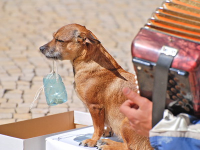 441793061_c82e63ac0d_w